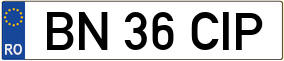 Trailer License Plate